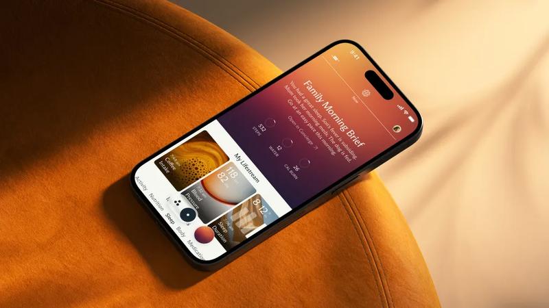 Fitbit Founders Launch Luffu, an AI Startup for Proactive Family Health Monitoring