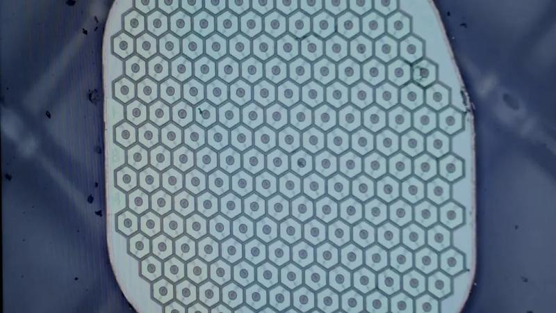 Former Neuralink President's Startup Enlists Top Neurosurgeon for First US Human Trials of Biohybrid Brain-Computer Interface