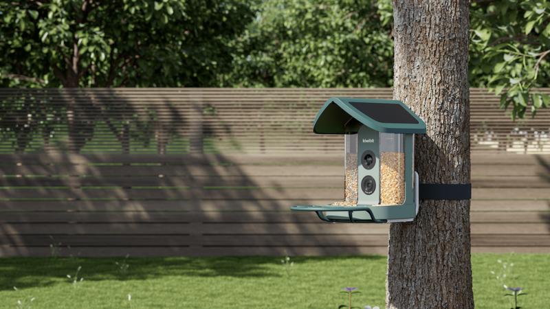 Kiwibit Bird Feeder Pro 4K AI Camera Review: Launches with Solar Power, Dual Compartments, and Stunning Durability