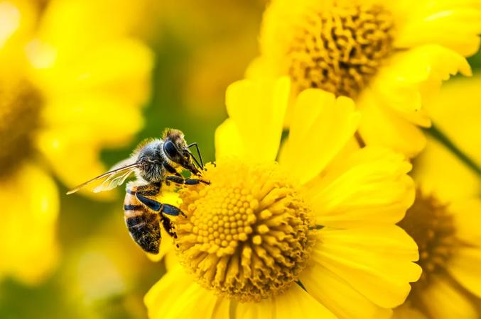Jack Dorsey Launches Buzz: A Decentralized, Open Source AI Chat App Challenging Slack and GitHub