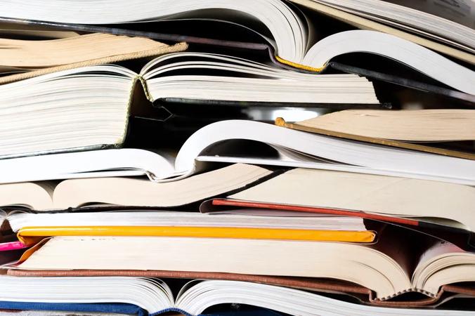 Anthropic's $1.5B Copyright Settlement Faces Chaos as Fraudsters Target Author Payouts