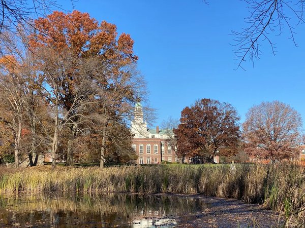 OpenAI Launches Advisory Group on Mathematics and AI at Princeton's Institute for Advanced Study