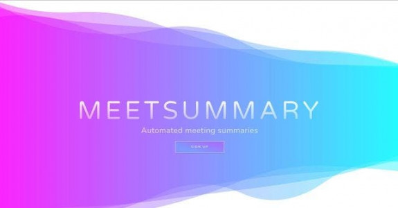 Meet Summary