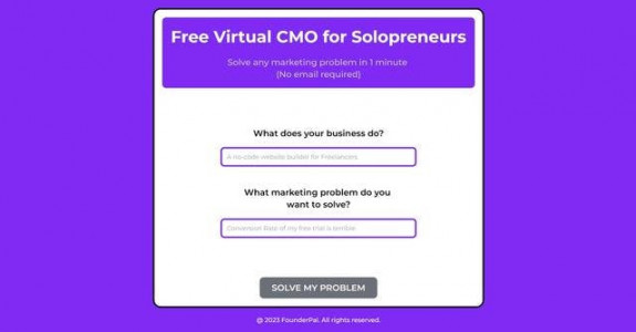 Virtual CMO