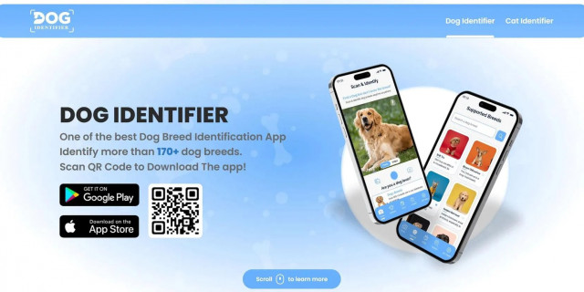 Dog Identifier