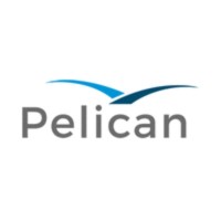 Pelican.ai Logo