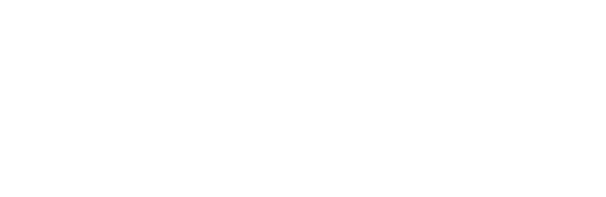 Plus AI Logo