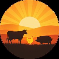 Barnyly Logo