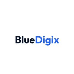 Blue Digix Logo