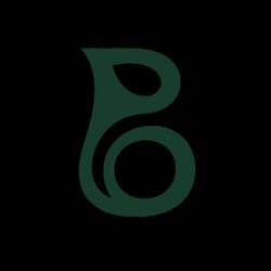 Bonsivo Logo