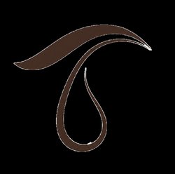 Browlens Logo