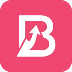 BuzzHike Logo