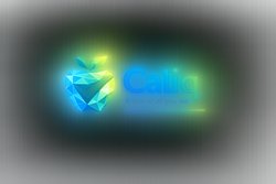 Caliq Logo