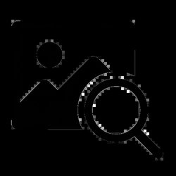 Fake Image Detector Logo