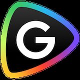 Gemini Omni Flash Video Generator Logo