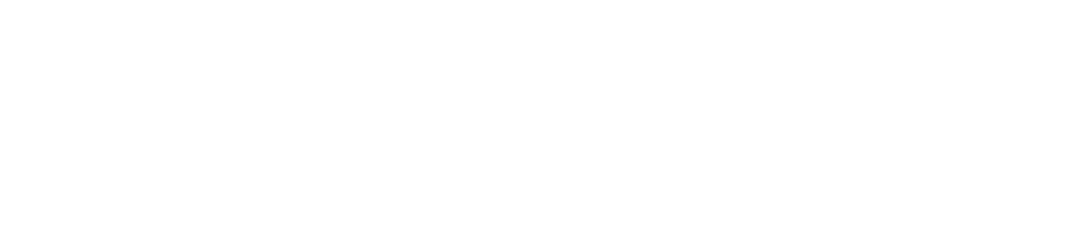 Bertha Logo