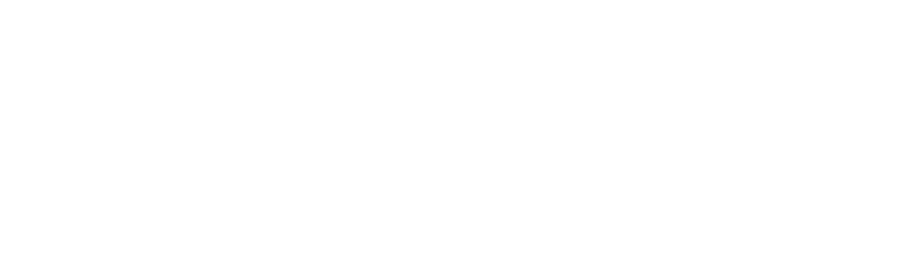 Browse AI Logo