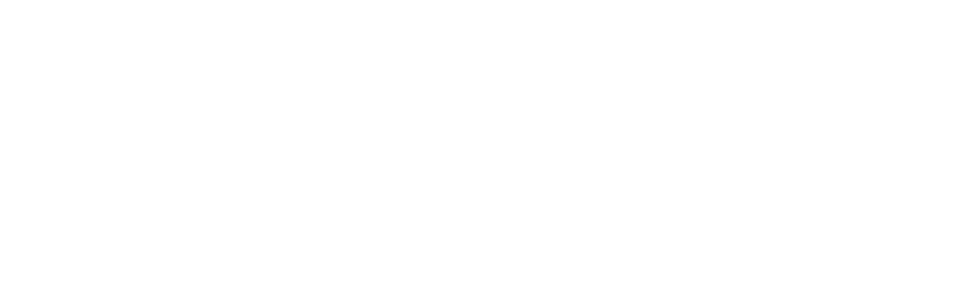 Predis.ai Logo