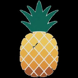 Pineapple Kamil Daniel Logo