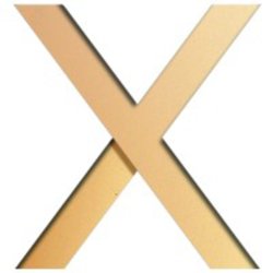 SearchX Logo