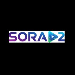 sora2web Logo