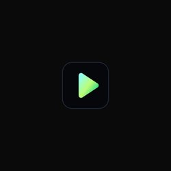 VideoAny AI Logo