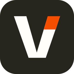 Vizify Logo