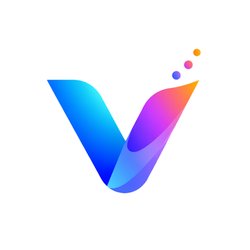 VizRise Logo